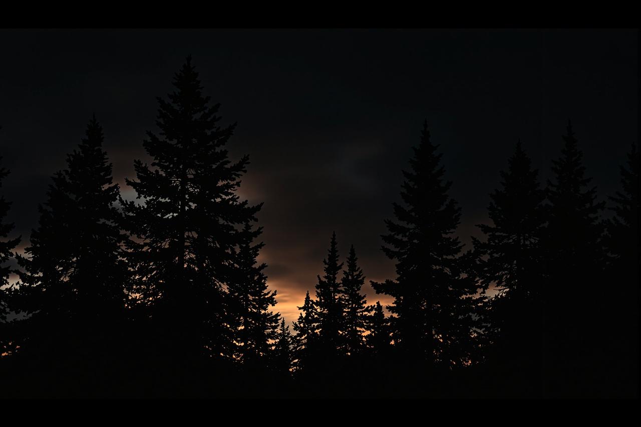 爆料吃瓜 - 电影般的松林暮色背景